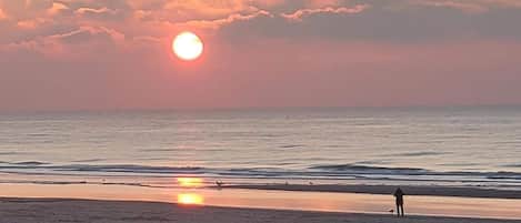 Vista desde la propiedad