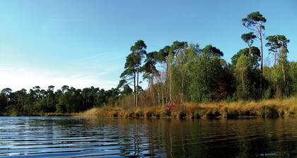 Furnished Chalet Located near Oisterwijkse Vennen