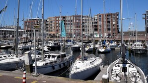 A marina with multiple boats docked, a clear blue sky, and buildings in the background.