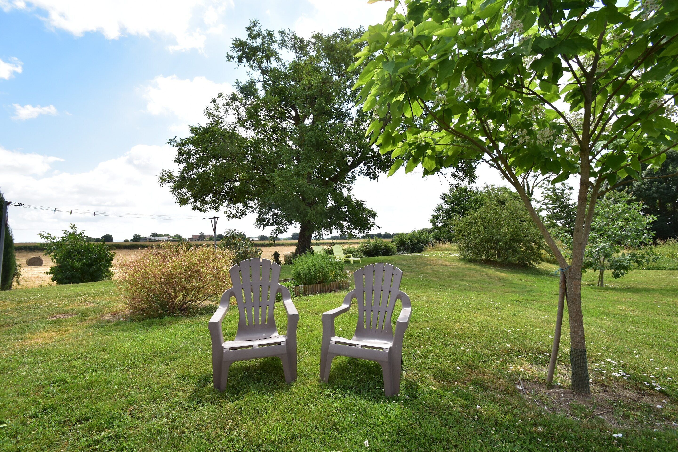 House | Garden