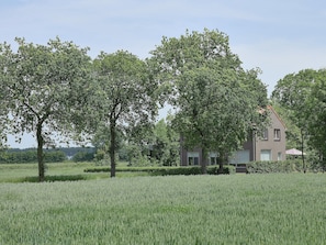 Ferienhaus | Außenbereich