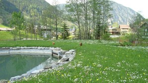 A pond surrounded by a grassy area with wildflowers and trees. There are buildings in the background. - Vibrant Apartment near Ski Slopes in Brand (Brand)