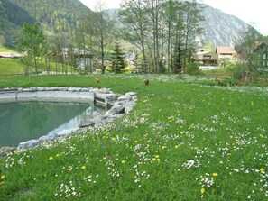 Chalet | Blick von der Unterkunft