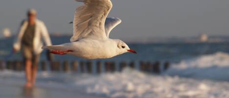 Vue depuis l’hébergement