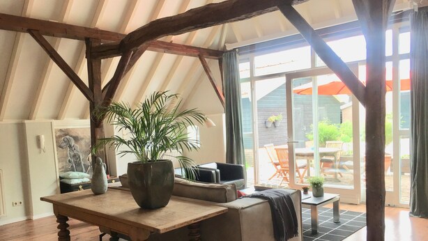 A cozy room with a wooden table, a sofa, and a potted plant. There is a sliding glass door leading to an outdoor area with a table and chairs. - Boutique Holiday Home in Nieuwleusen near Forest (Nieuwleusen)
