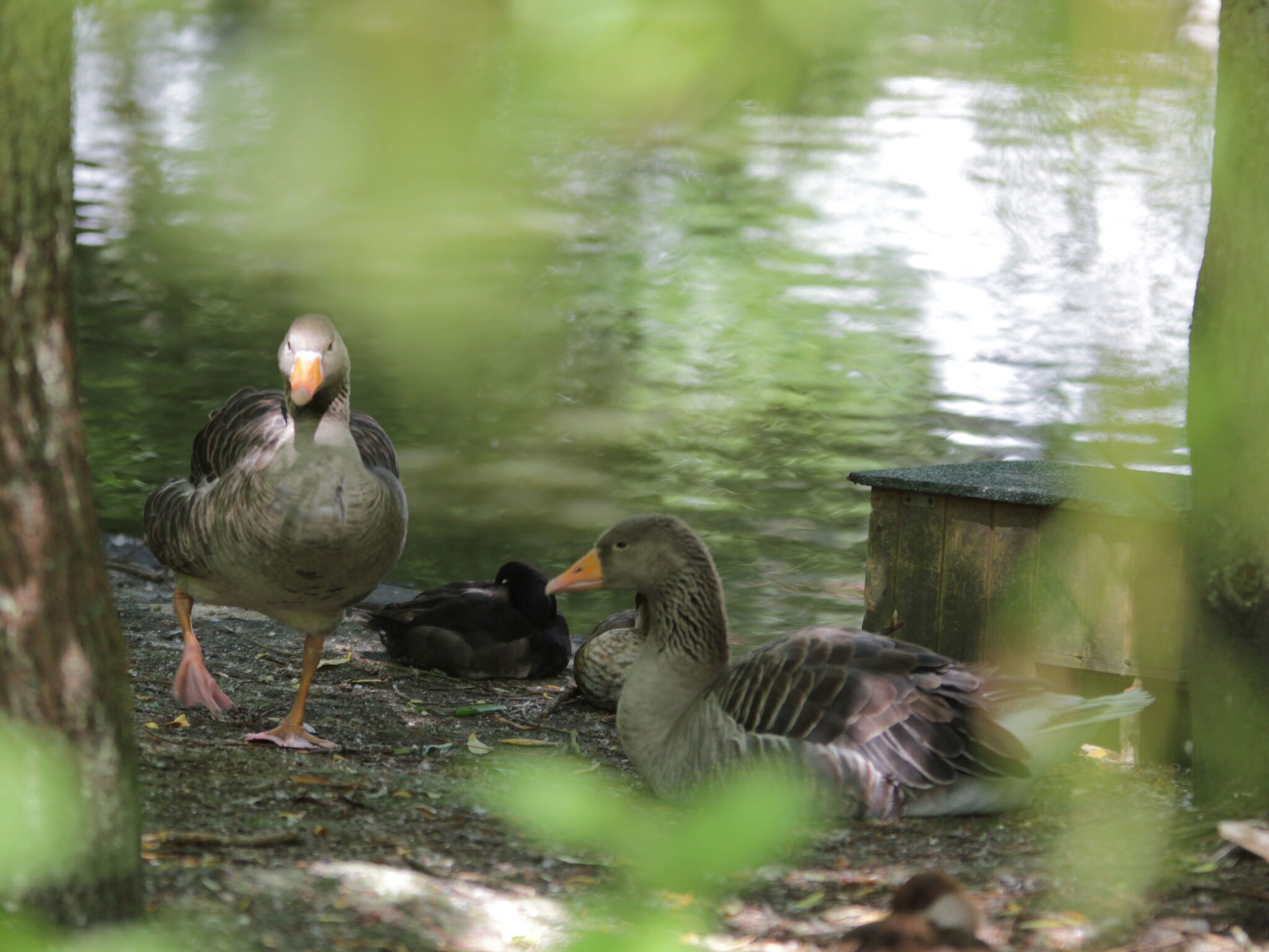 Khuôn viên nơi lưu trú