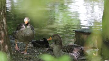 Khuôn viên nơi lưu trú