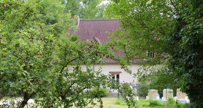 Holiday Home in Quend-plage Near Forest