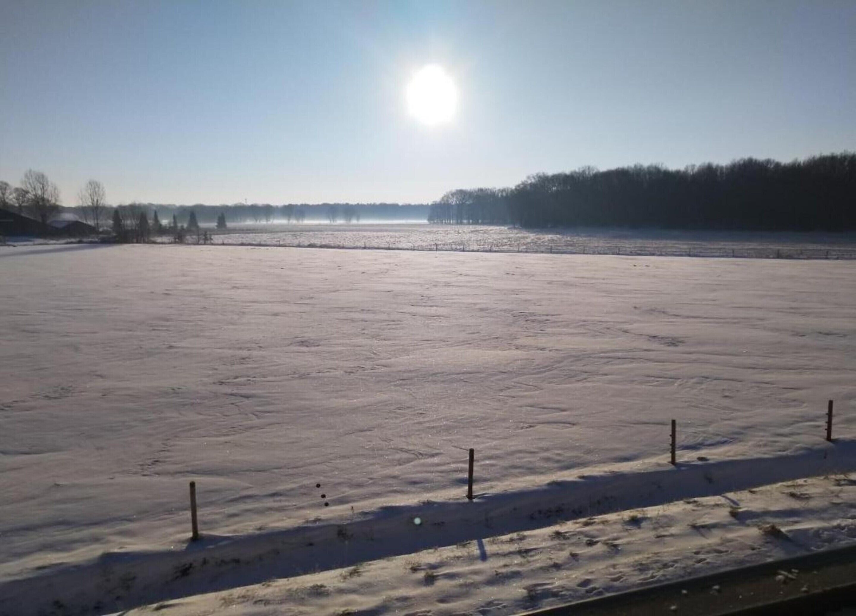Ein schneebedecktes Feld mit einem Zaun im Vordergrund und Bäumen im Hintergrund.