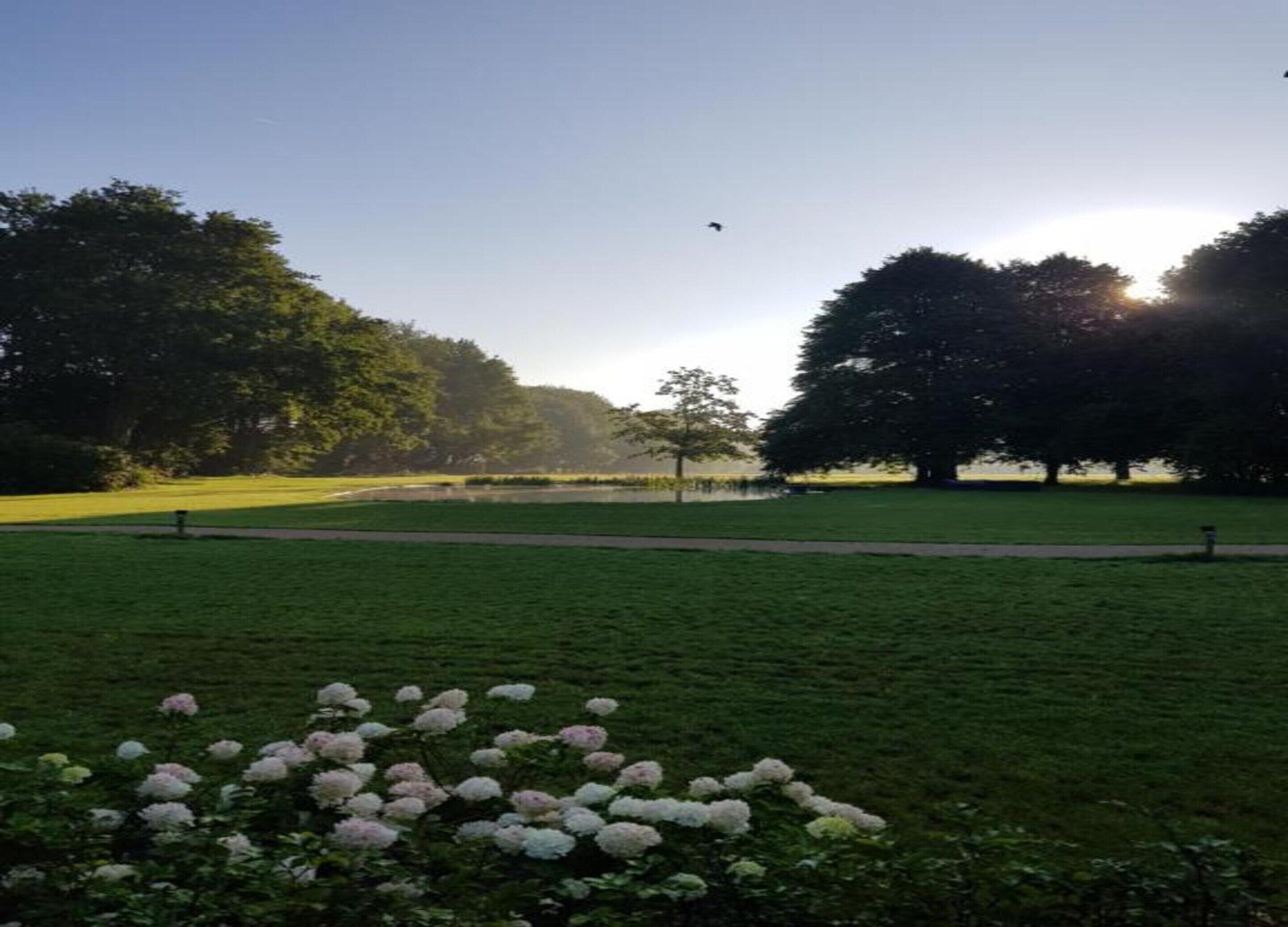 A park with green grass, trees, and a flower bed with pink flowers.