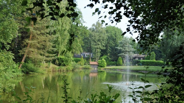 Un étang paisible, entouré d’une végétation luxuriante et d’arbres, avec une petite maison en arrière-plan.