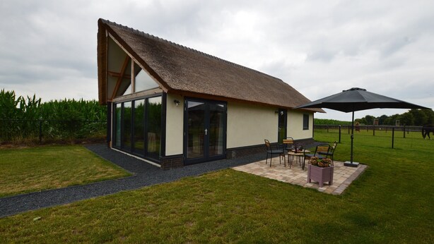 A modern house with a thatched roof, large glass windows, and a patio area with outdoor furniture. - Holiday Home in Alphen-chaam With Terrace (Alphen)