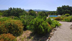 A garden with a gravel path, various shrubs, and a blue pool. - Residence a Badesi 3375 (Badesi)