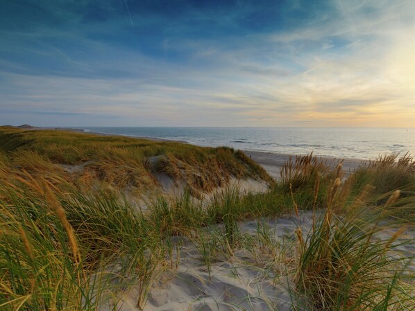 House | View from property - Modern, High-quality Chalet With Wifi Near the Oosterschelde (Wemeldinge)