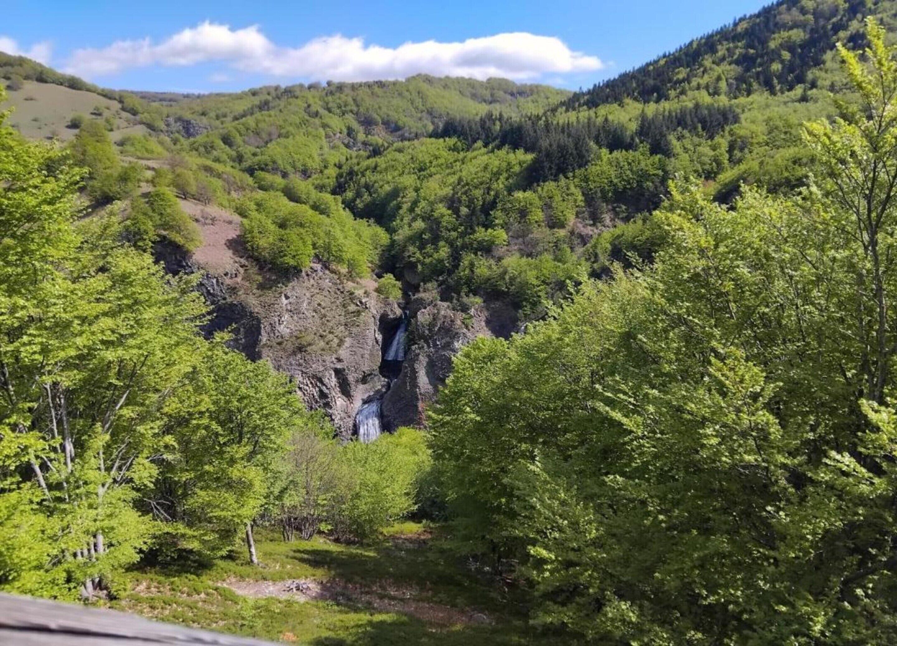 Un valle verde y exuberante con una cascada y un bosque denso.