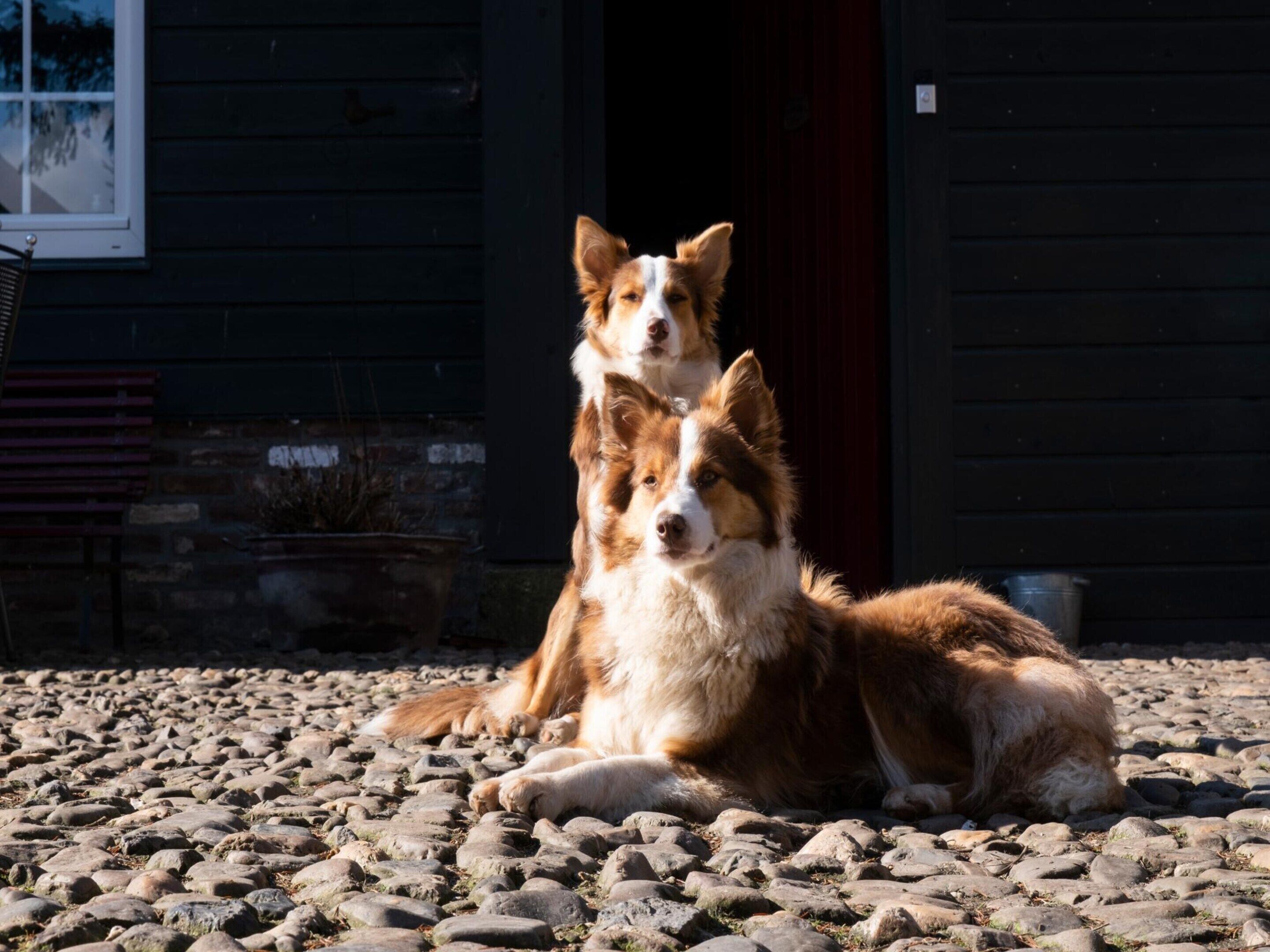 Apartment | Spa treatment