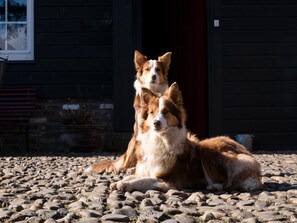 Apartment | Spa treatment