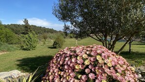 Ένας κήπος με μια μεγάλη φλοριμιακή παρτέρα, ένα δέντρο και μια χορταριασμένη περιοχή, με δέντρα στο βάθος.