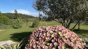 Villa | Garden