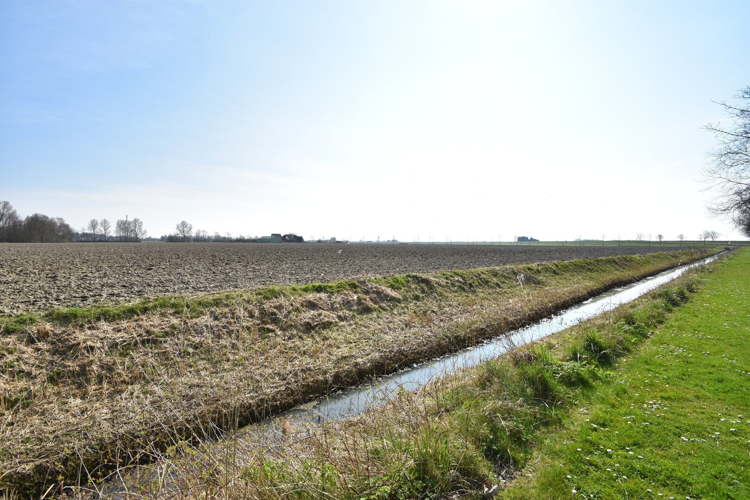 A rural landscape with a narrow water channel running through a plowed field and a grassy area.
