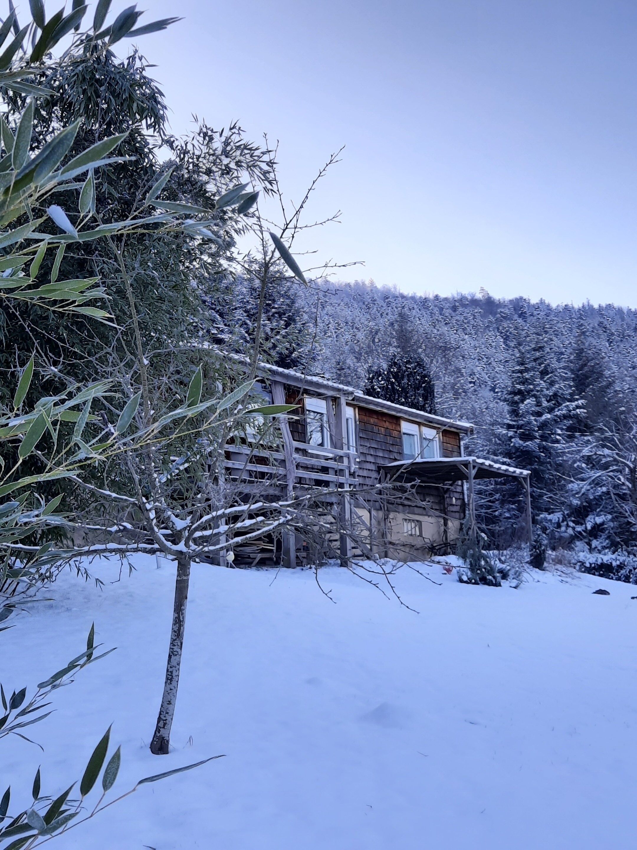 A rustic cabin with a wooden exterior, surrounded by snow-covered trees and a clear sky.