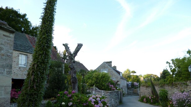 A narrow stone pathway flanked by traditional stone houses with ivy and flowering plants. - Denneville Coastal Escape With Garden (Port-Bail-sur-Mer)