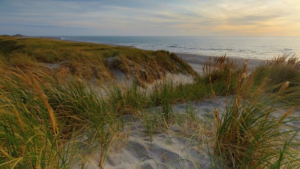 A beach with sand dunes and grass in the foreground, leading to the ocean. - Nice Chalet with Fireplace near Oosterschelde (Wemeldinge)