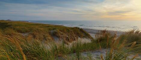 House | View from property