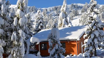 Eine Hütte, umgeben von schneebedeckten Bäumen und einem Berg im Hintergrund.