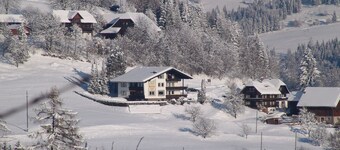 Lush Apartment in Afritz am See near Ski Area