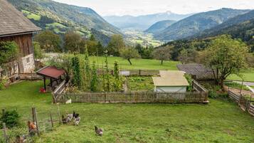 Apartment | Property grounds