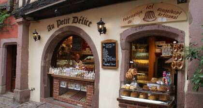 Apartment in Riquewihr Near Vineyards
