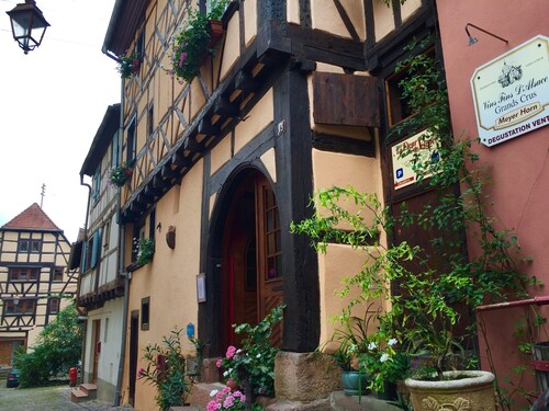 Apartment in Riquewihr Near Vineyards