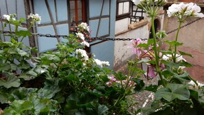 A traditional half-timbered building with a red-tiled roof, surrounded by lush greenery and blooming flowers. - Apartment in Riquewihr Near Vineyards (Riquewihr)