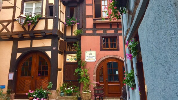 A traditional half-timbered building with flower boxes, a wooden door, and a sign indicating a flower shop. - Apartment in Riquewihr Near Vineyards (Riquewihr)