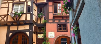 Apartment in Riquewihr Near Vineyards