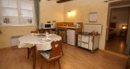 Apartment in Riquewihr Near Vineyards