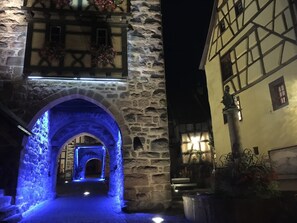 Apartment | View from property - Apartment in Riquewihr Near Vineyards (Riquewihr)