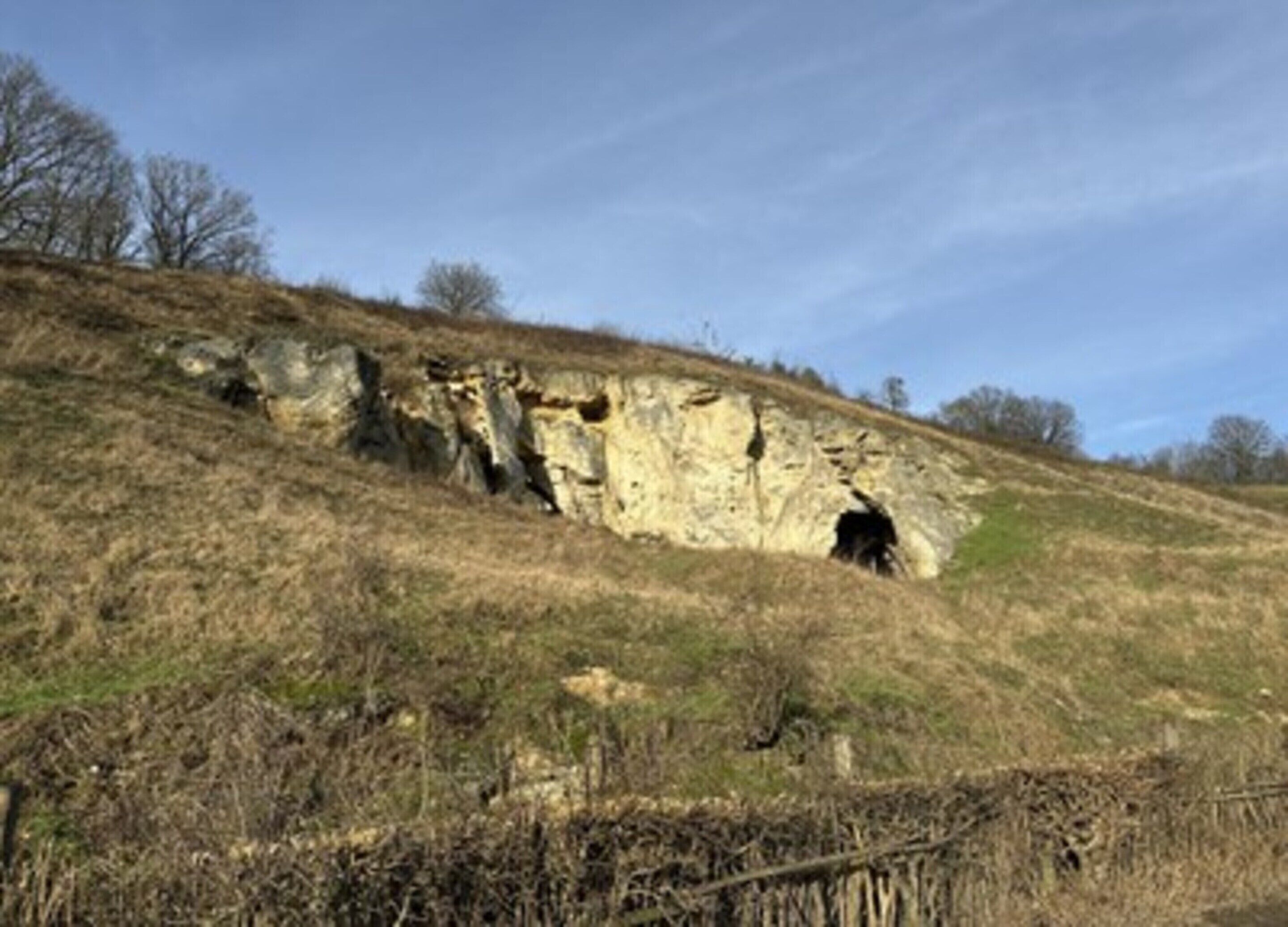 A natural rock formation with a cave entrance on a grassy hillside.