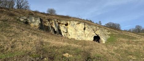 A natural rock formation with a cave entrance on a grassy hillside.