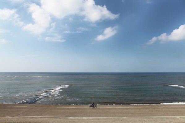 View from property - Luxurious and Modern House With Large Garden, Privacy and Wi-fi, Near Schoorl and the Beach (Warmenhuizen)