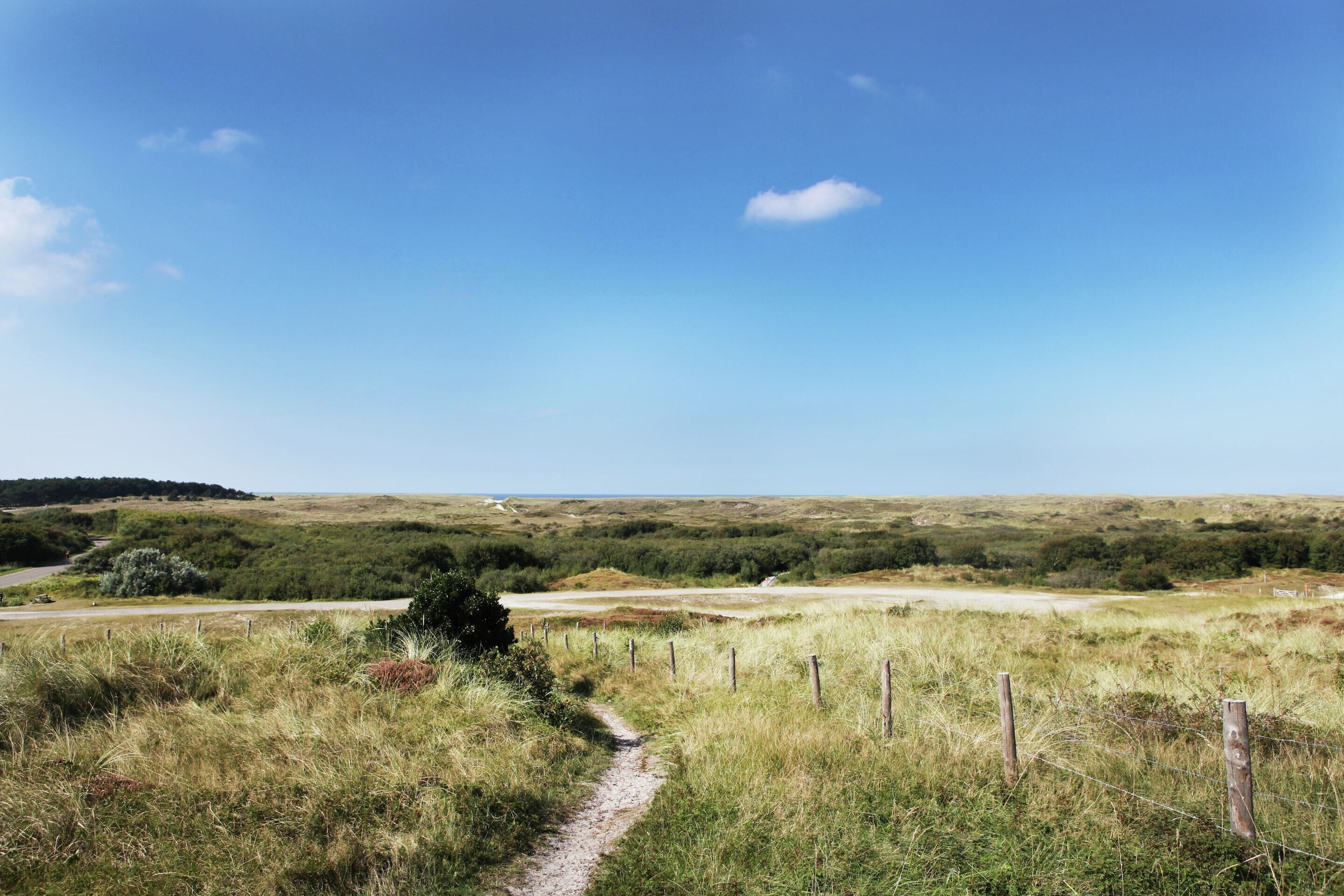 A rural landscape with a dirt path, grassy fields, and a clear blue sky.