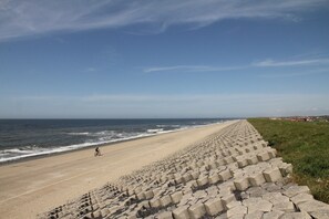 Apartment | View from property - Unique Studio on Large Estate With sea View (Bergen aan Zee)