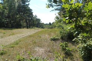 Apartment | View from property - Unique Studio on Large Estate With sea View (Bergen aan Zee)