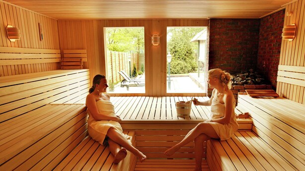 A wooden sauna with benches, a view of the outdoors, and a stone wall. - Attractive Holiday Home with Large Garden near Zwolle (Dalfsen)