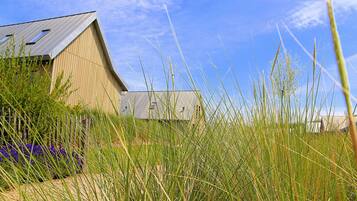 House | View from property