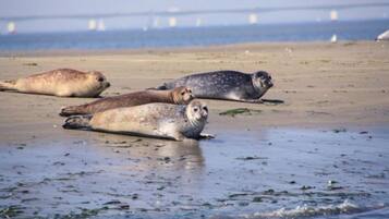 House | View from property