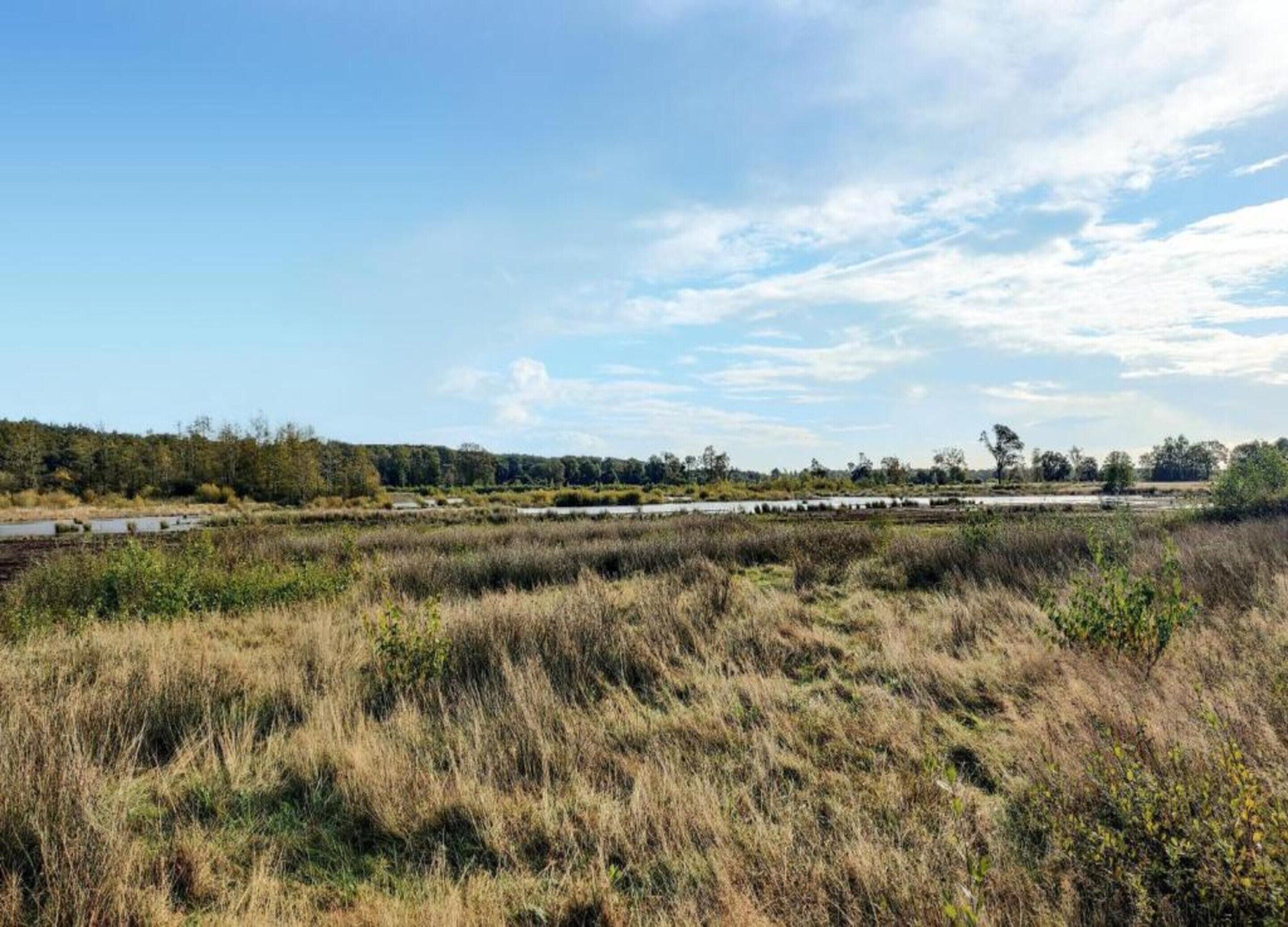 Un paysage naturel avec une rivière, une végétation luxuriante et un ciel dégagé.