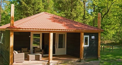 Bungalow With Terrace, not far From Assen