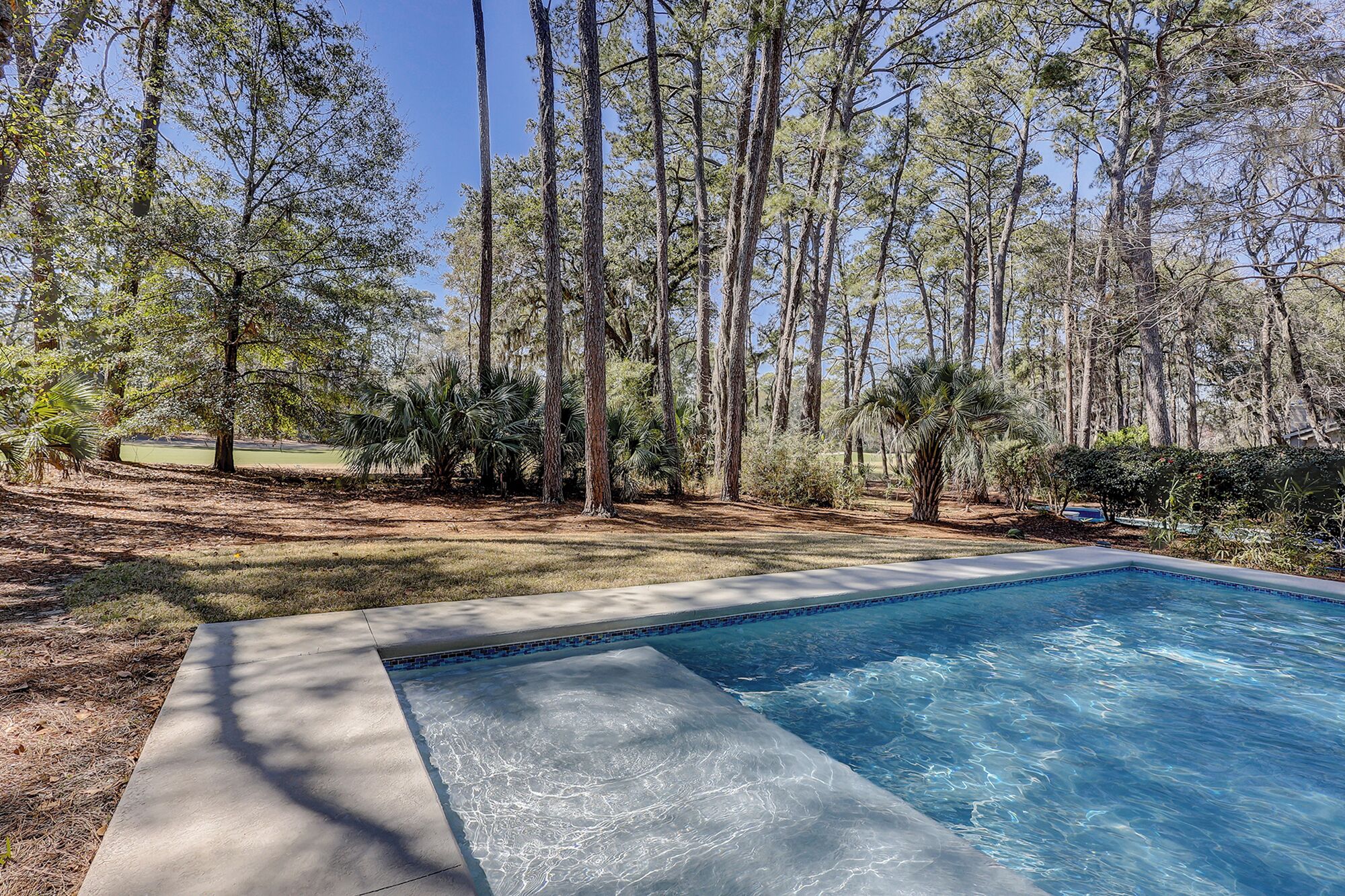 A swimming pool surrounded by a forested area with tall trees and a clear sky.
